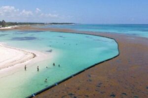 Seaweed boom deployed around a beach to keep sargassum away from beachgoers