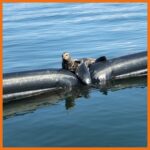 Inflatable containment boom with seals laying on floatation chambers