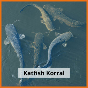 Katfish Korral