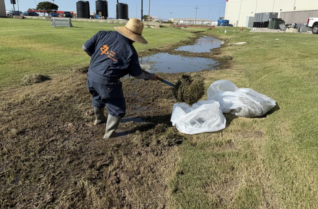 ACME spill tech disposing of contaminated grass that was removed from the affected area