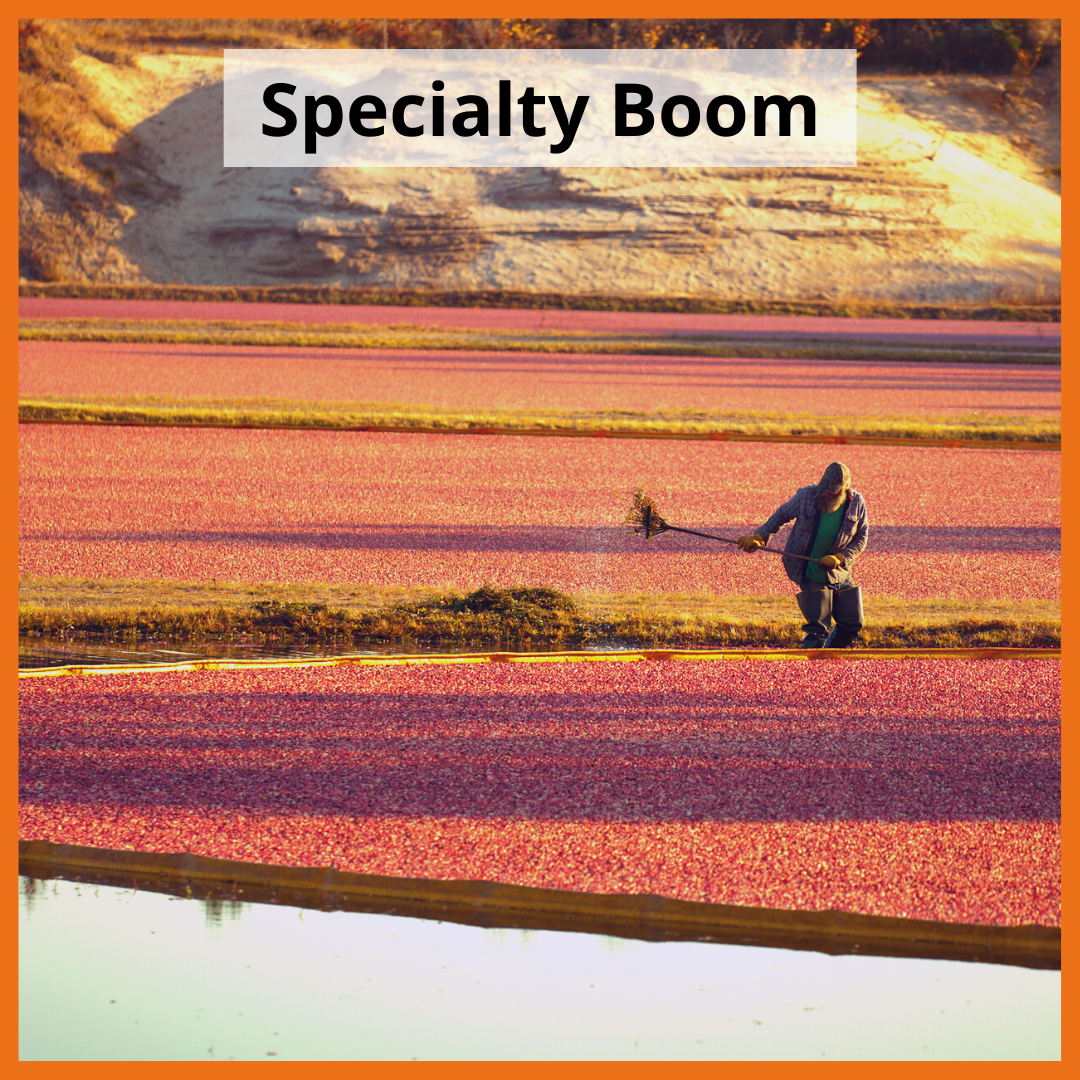Specialty Containment Boom